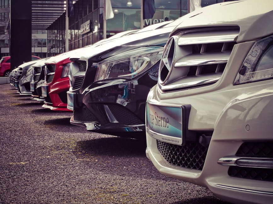 Luxury cars lined up at an outdoor dealership, showcasing sleek designs